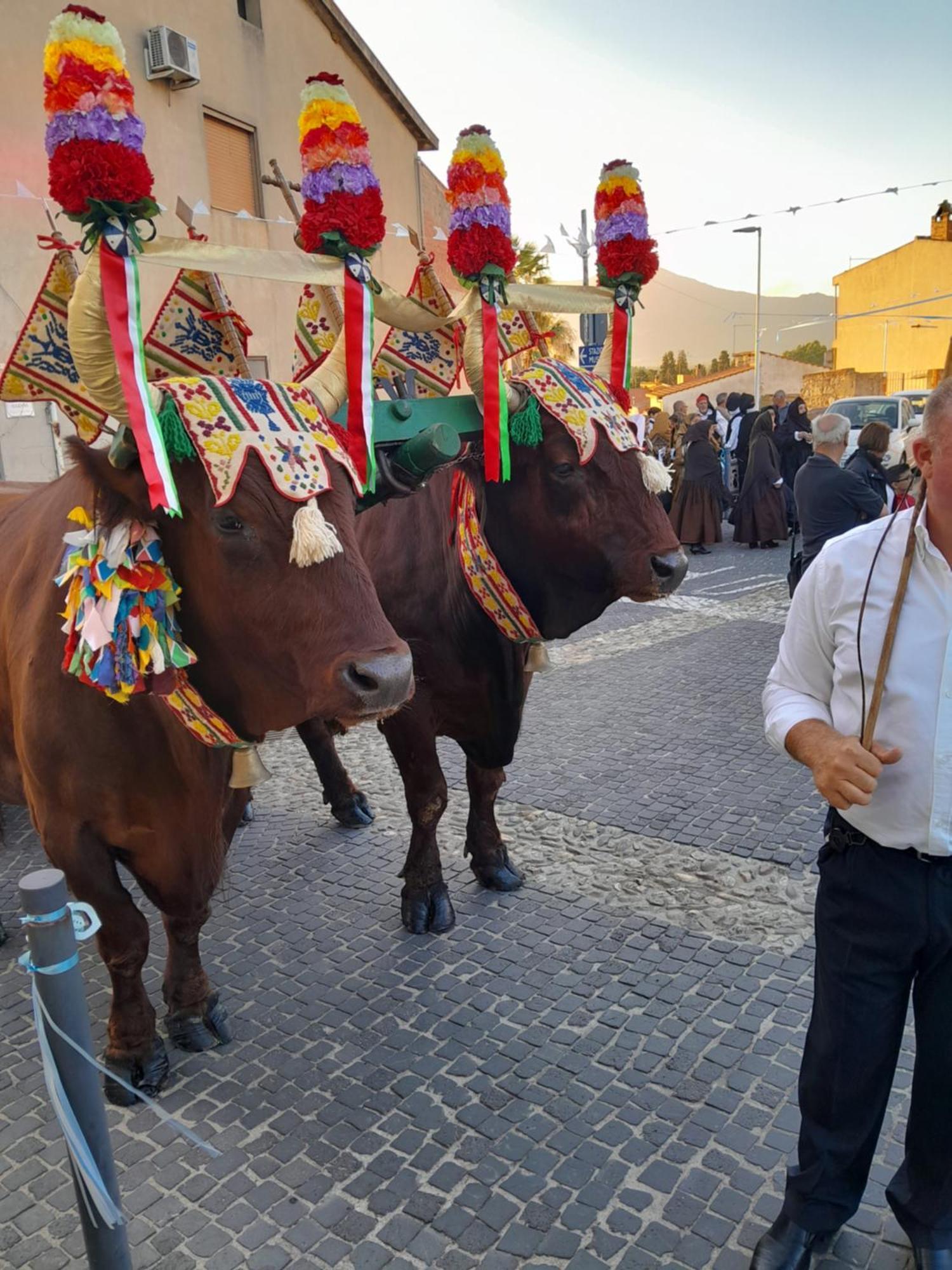 דירות Villamassargia Sardinia Experience מראה חיצוני תמונה