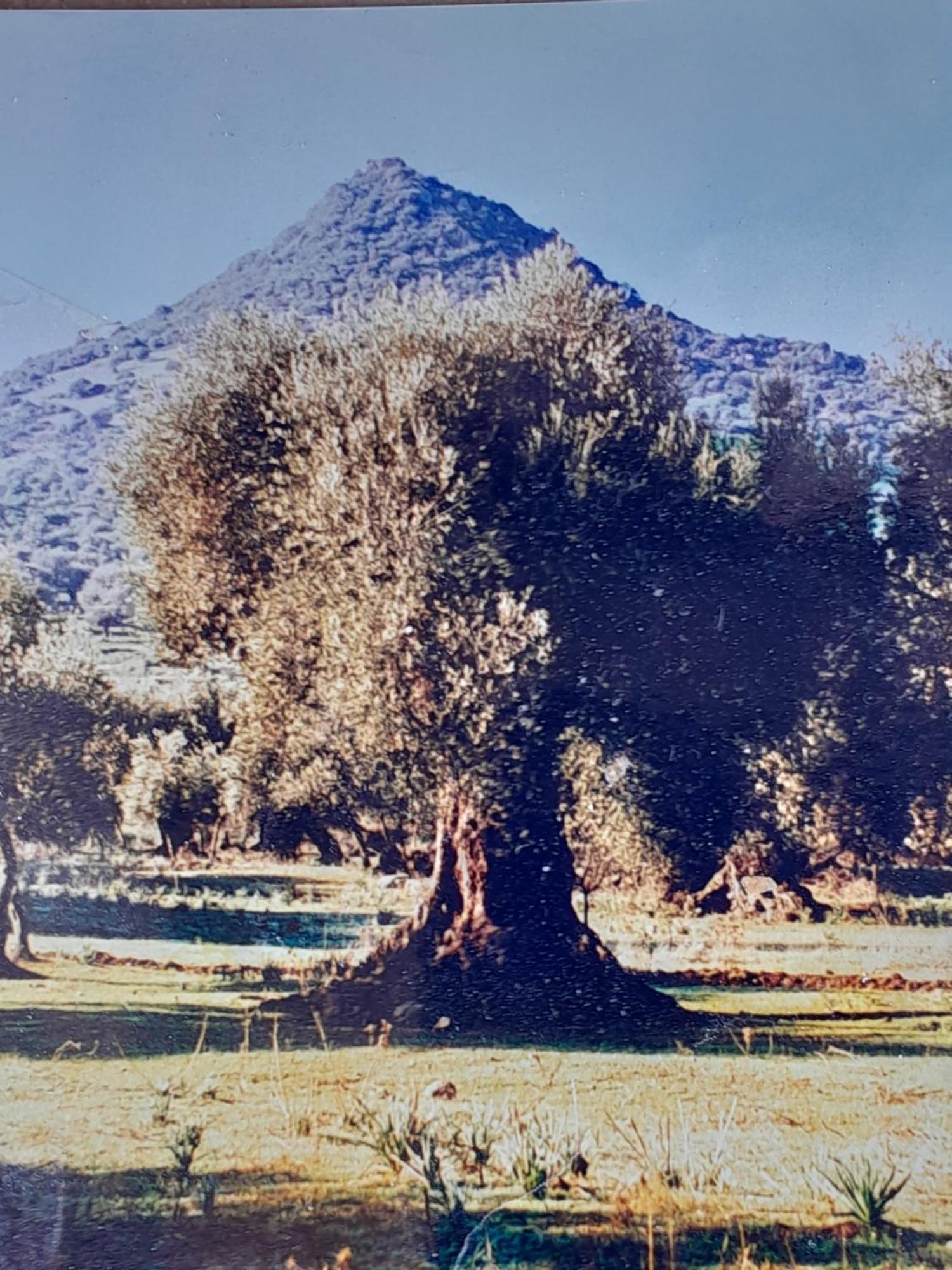 דירות Villamassargia Sardinia Experience מראה חיצוני תמונה